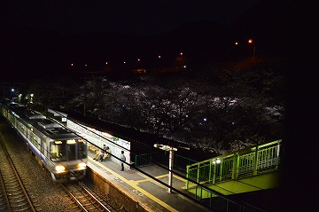 20160402_191101_nikon_d3200