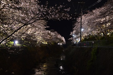 20160402_193425_nikon_d3200