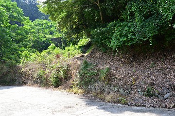 20160626_141549_nikon_d3200