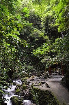 20160626_142826_nikon_d3200