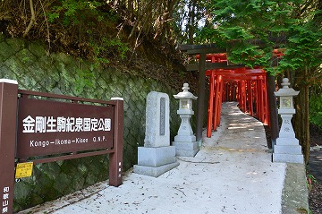 20160626_153435_nikon_d3200
