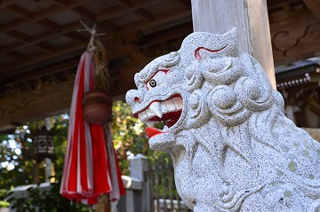 20160626_155136_nikon_d3200