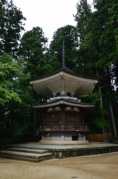 20160709_100511_nikon_d3200