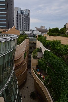 20160716_144230_nikon_d3200 20160716_144230_nikon_d3200