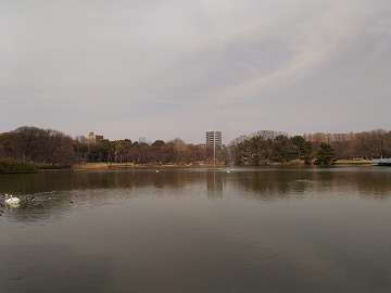 20170318_121459_asus_z00ed