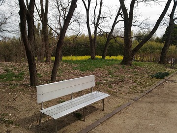 20170318_123052_asus_z00ed