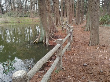 20170318_132912_asus_z00ed