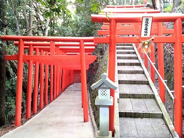 20170401_175554_asus_z00eda