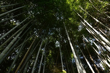 20170929_150916_nikon_d3200