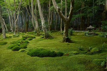 20170929_155232_nikon_d3200