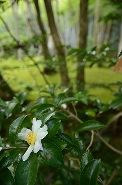 20170929_155535_nikon_d3200