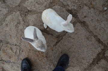 20171028_090350_nikon_d3200