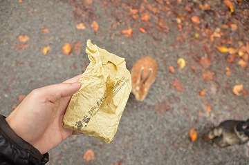 20171028_115302_nikon_d3200