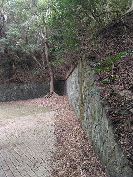 20180318_151722_asus_z00ed