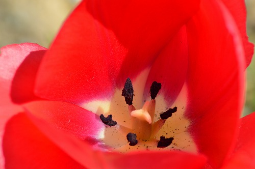 20190413_131025_nikon-d3200