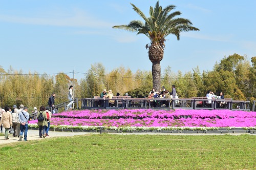 20190413_131456_nikon-d3200