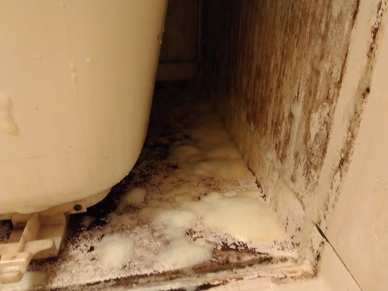 f:id:moriju:20200411215337j:plain f:id:moriju:20200411215337j:plain