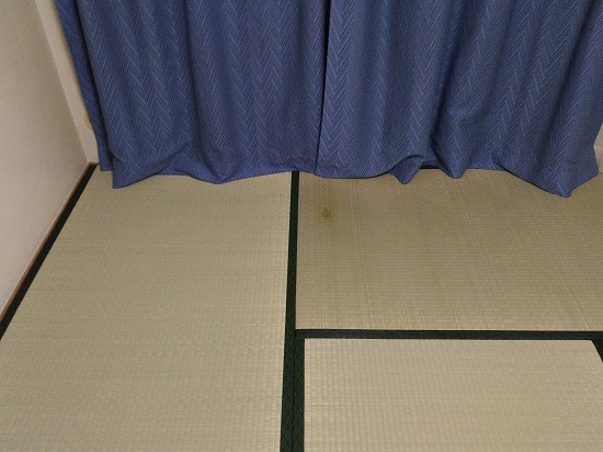 f:id:moriju:20200420083643j:plain