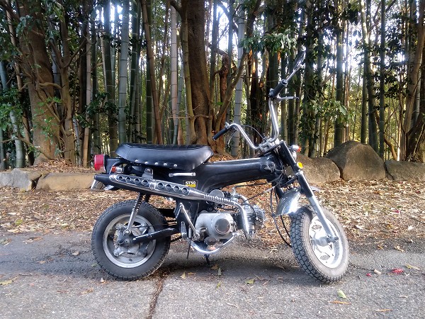 ホンダ ダックス ST50 : 首輪ステッカー付けられず - 八百万の森