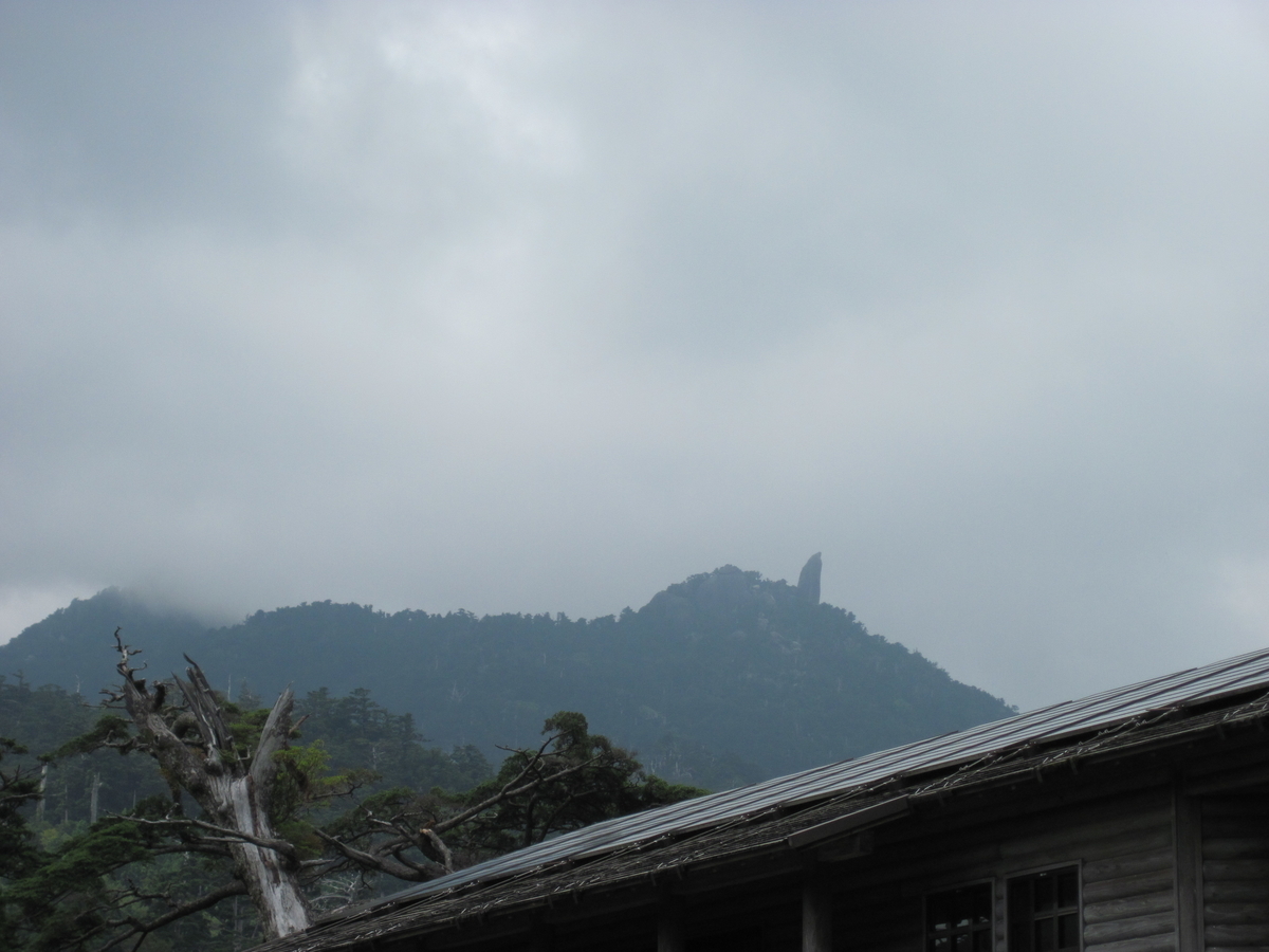 f:id:morika-miyake:20200804080437j:plain f:id:morika-miyake:20200804080437j:plain