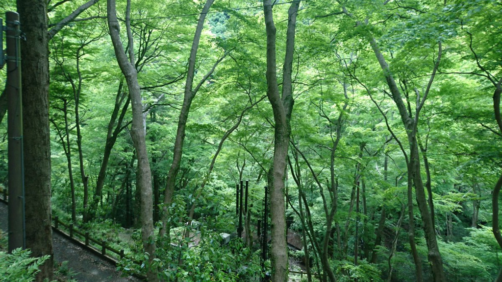 f:id:morikan39:20180506152913p:plain f:id:morikan39:20180506152913p:plain