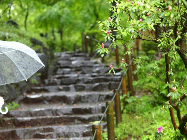 f:id:morikan39:20190605033607j:plain f:id:morikan39:20190605033607j:plain