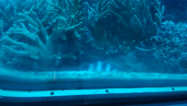 f:id:morikicompany:20161021235817j:plain f:id:morikicompany:20161021235817j:plain