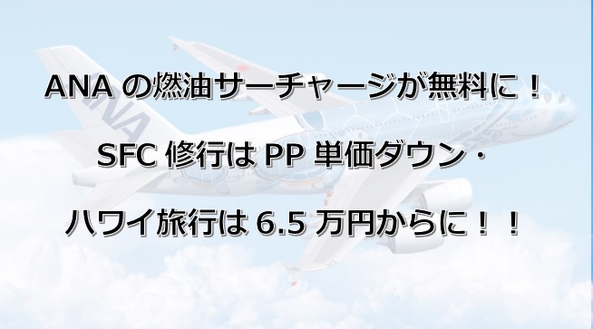 f:id:morikuma_8010:20200601010257j:plain