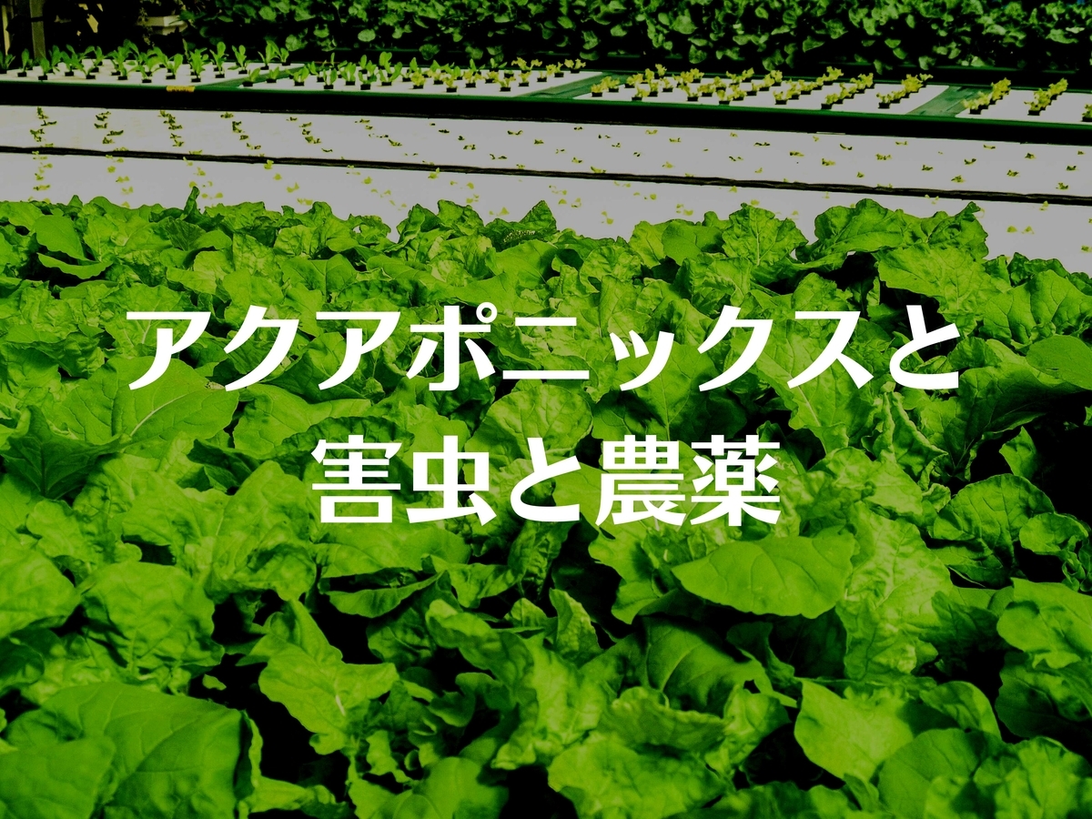 アクアポニックス　害虫と農薬