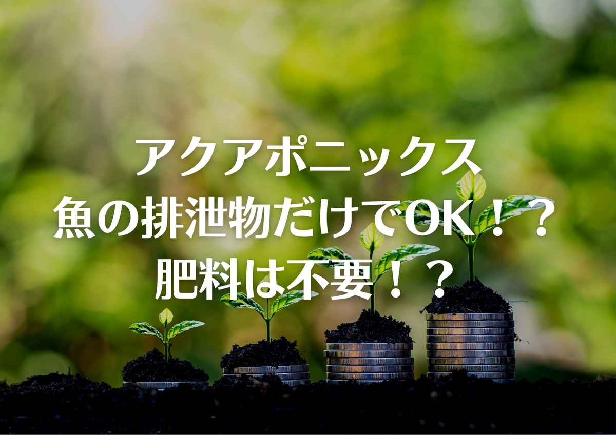 アクアポニックスに肥料は必要？