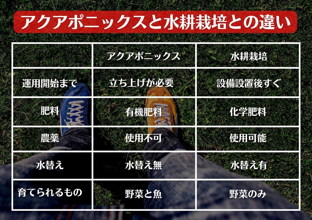 アクアポニックスと水耕栽培との相違点