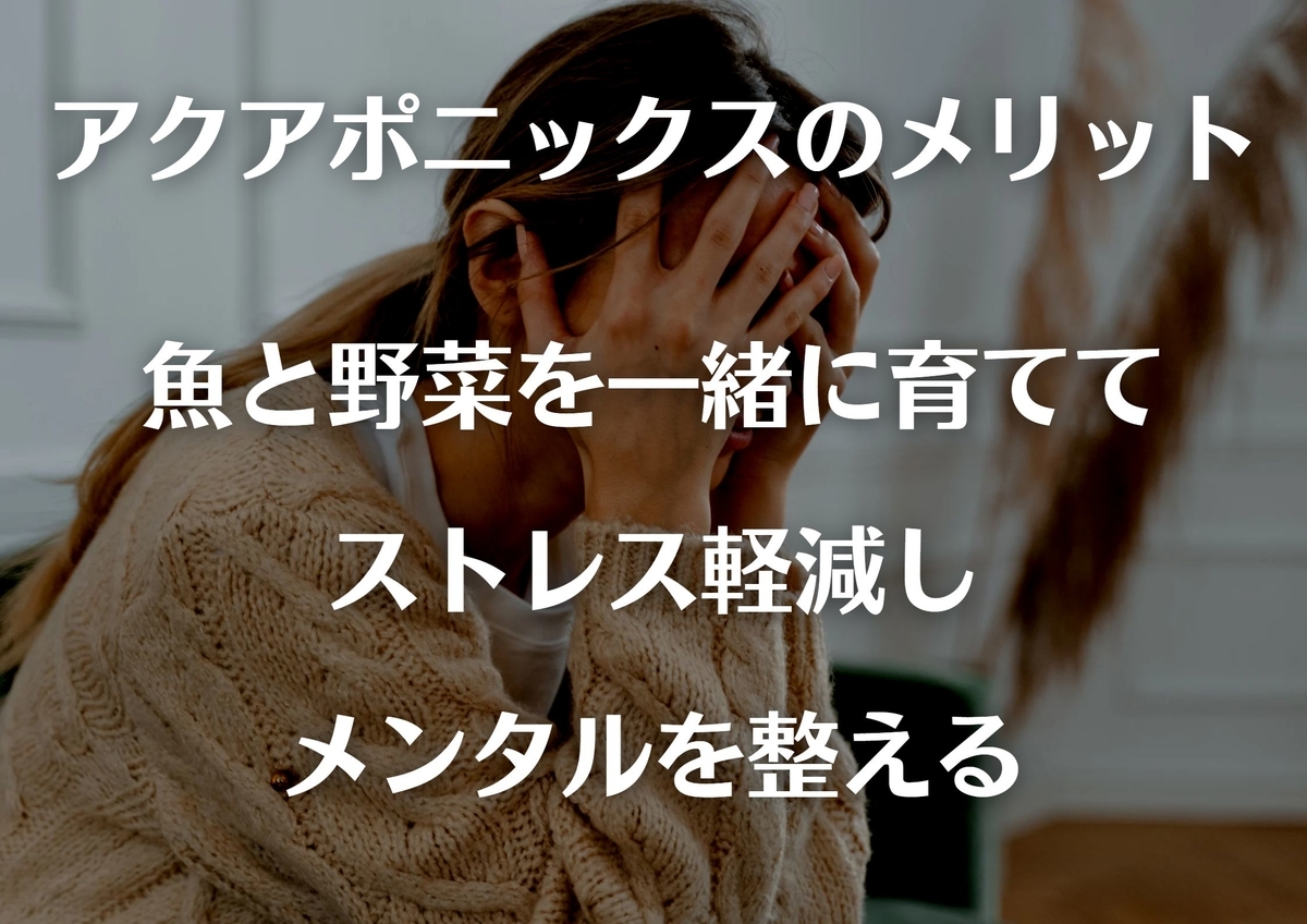 アクアポニックス,ストレス軽減,メンタルを整える,