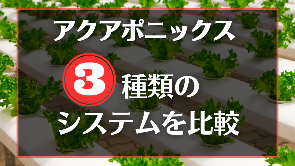 アクアポニックスシステム