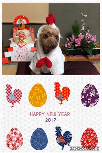 f:id:morikyodo_lawoffice:20170118092229j:image