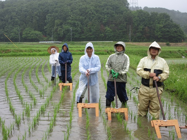 出店者情報 中野水田除草研究所 茂木町 除草機 森と里のつながるマルシェ