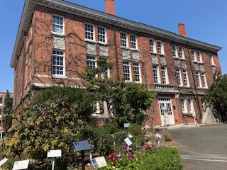 f:id:morimie:20190316233119p:plain f:id:morimie:20190316233119p:plain