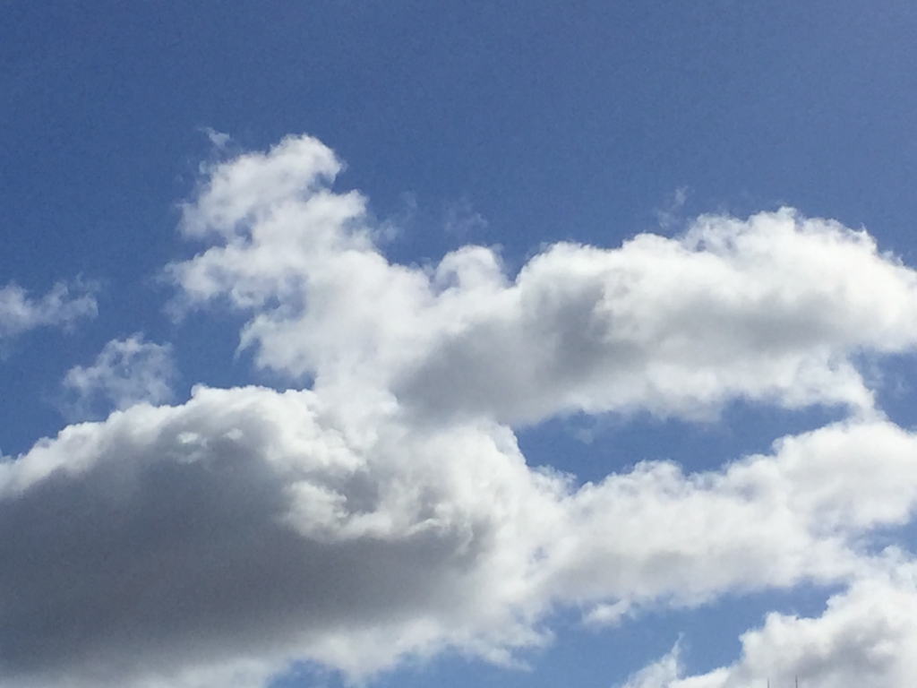 f:id:morimika:20161029102644j:plain