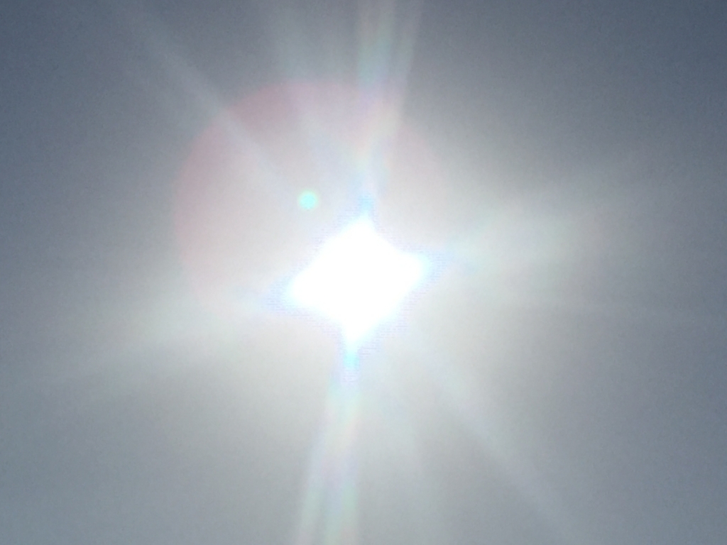 f:id:morimika:20161118084752j:plain