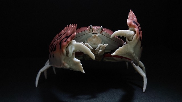 f:id:morimiya_gekko:20210611123810j:image f:id:morimiya_gekko:20210611123810j:image
