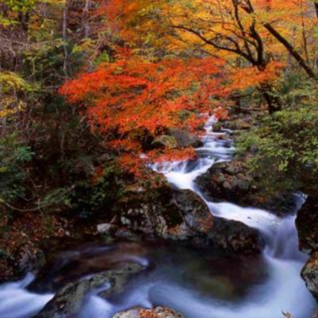 f:id:morimori-od:20200728231728j:plain f:id:morimori-od:20200728231728j:plain