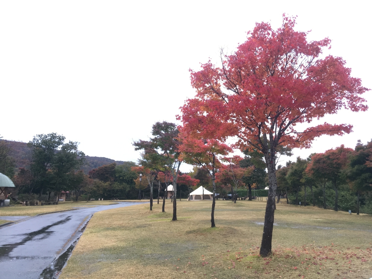 f:id:morimori-od:20201125105749j:plain