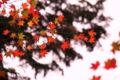 20111110114901