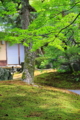 京都新聞写真コンテスト　庭園