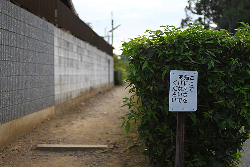 20130927114944