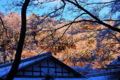 20131230110329