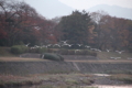 20131231082035