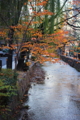 20140103081206
