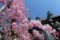 20180404075426