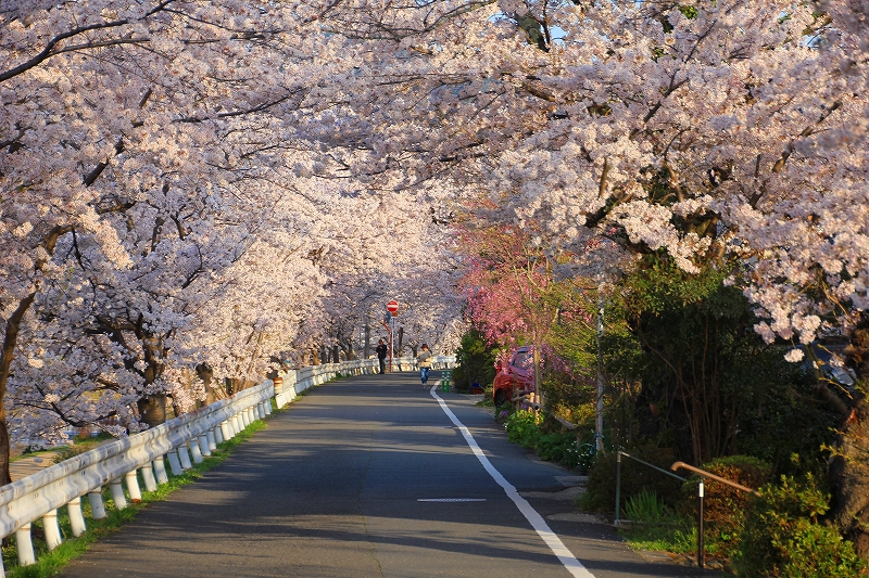 f:id:morimori928:20180412085619j:plain