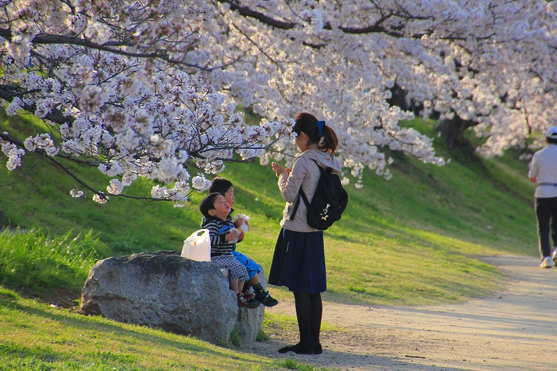 f:id:morimori928:20180412085728j:plain
